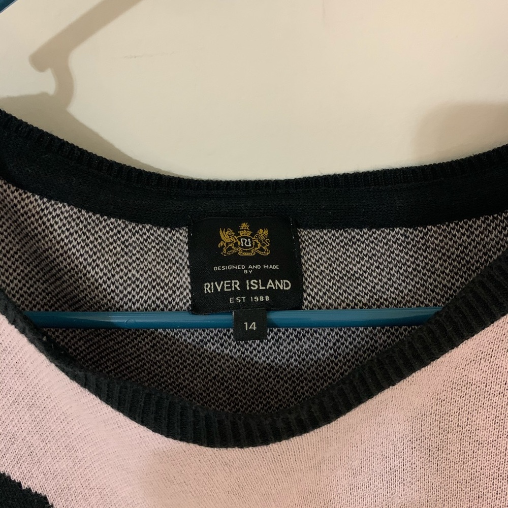 Brand new River Island chihuahua shirt